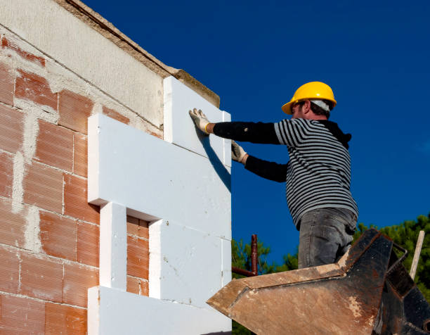 Best Eco-Friendly Insulation in Comstock Park, MI