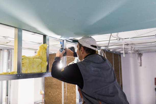Professional Insulation Contractor in Comstock Park, MI