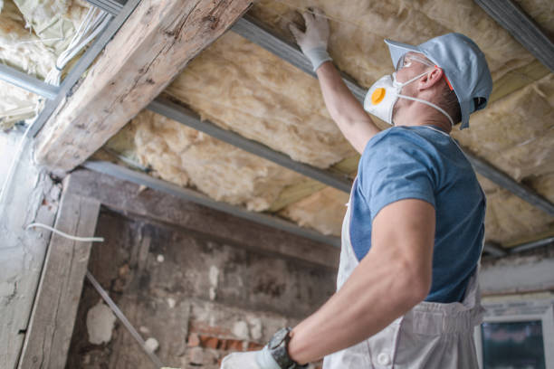 Best Blown-in Insulation in Comstock Park, MI