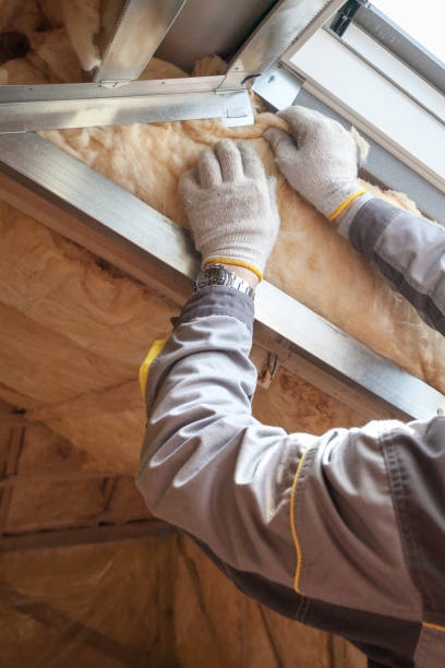 Trusted Comstock Park, MI Insulation Contractor Experts