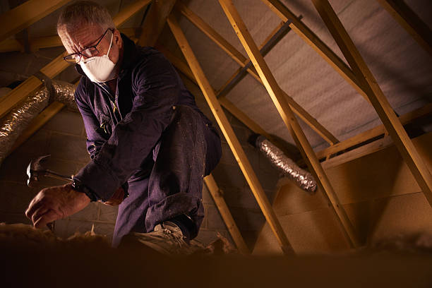Best Energy Efficiency Insulation in Comstock Park, MI